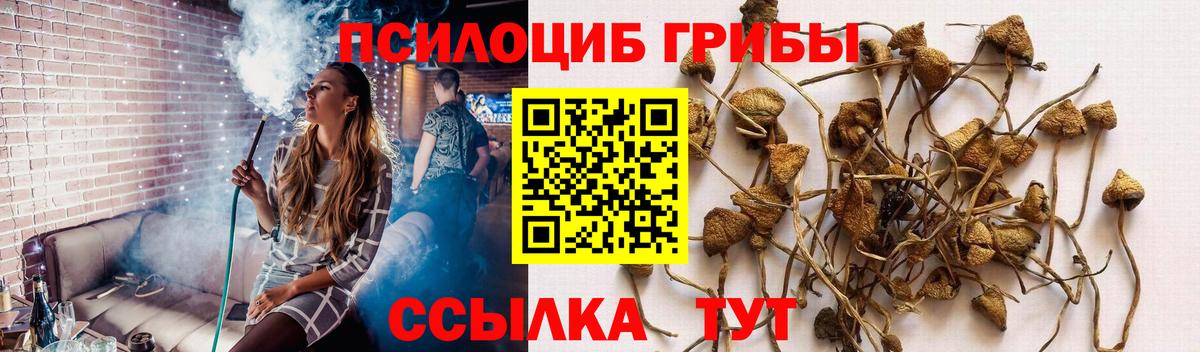 Волжск  наркота  Вход с VPN  Галлюциногенные грибы ЛСД 